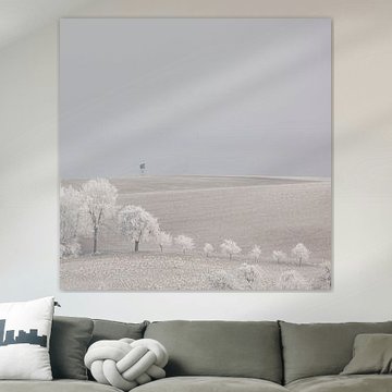 Winterlandschaft mit bereifte Bäume