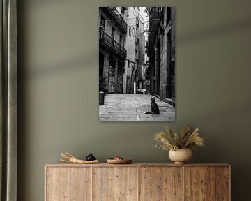 Romantische stadsgezicht in historische straat in Barcelona van Francisca Snel