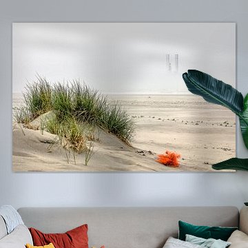 Foggy morning on Ameland