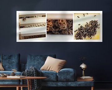 bees triptych by Anouschka Hendriks