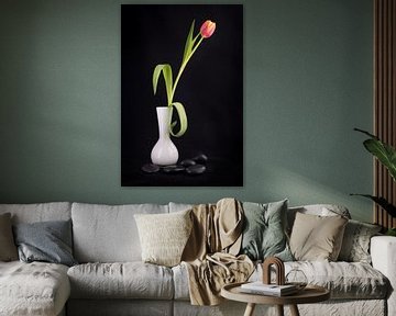 Tulip dans un vase blanc avec des cailloux noirs