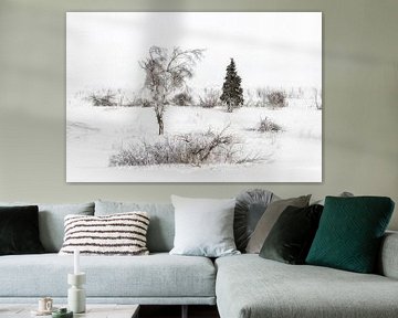 Winter  van Ingrid Van Damme fotografie