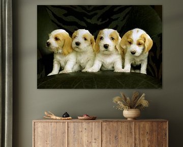 Quatre Chiots (Vier Puppies)