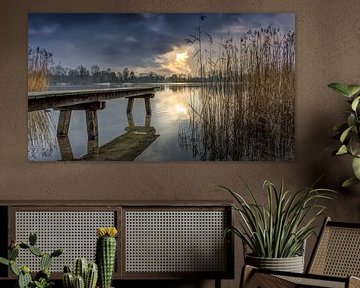 zonsondergang Haarlemmermeerse bos van Mike Asseler