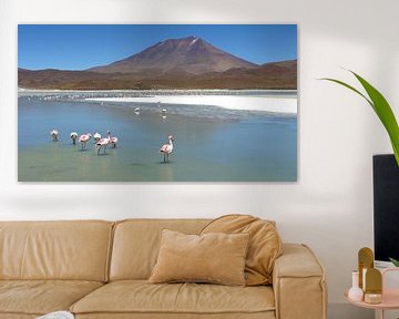 'Flamingo's', Bolivia sur Martine Joanne
