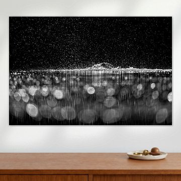 Kuifeenden zitten elkaar achterna