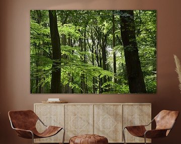 Bos met frisgroene kleuren