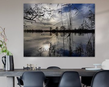 Reflectie op water, Loosdrecht / Reflection on Water, Dutch Landscape
