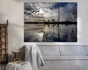 Reflectie op water, Loosdrecht / Reflection on Water, Dutch Landscape van Danielle Bosschaart