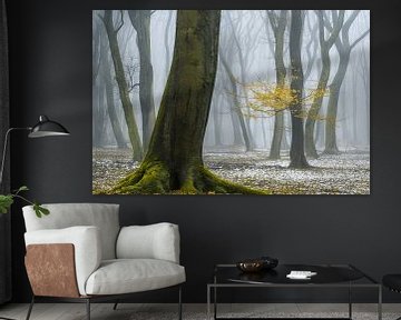 Winter Kleuren sur Lars van de Goor