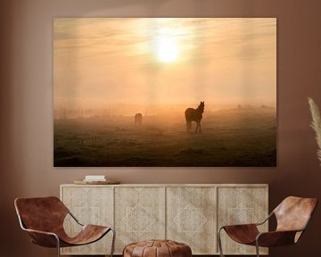 Pferde auf der Wiese bei stimmungsvollem Sonnenaufgang von Keesnan Dogger Fotografie