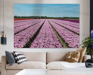 Tulpenveld in Noord-Holland van Keesnan Dogger Fotografie