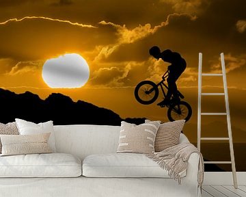 Mountainbiker silhouette by Tejo Coen