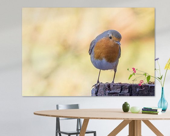 Aperçu de la chambre