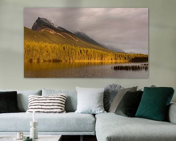 Zonsondergang Canadese Rockies von Ellen van Drunen