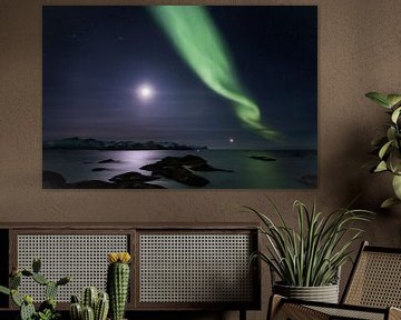 Aurora bij maanlicht over de fjorden von Jonathan Vandevoorde