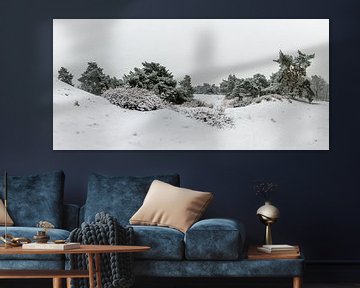 Panorama - Winter Wonderland van William Mevissen