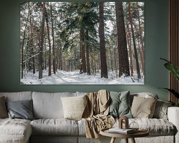 winter in het bos van Ilya Korzelius
