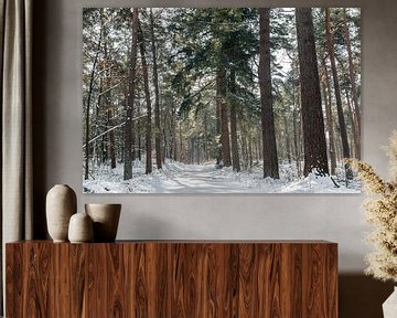 winter in het bos van Ilya Korzelius