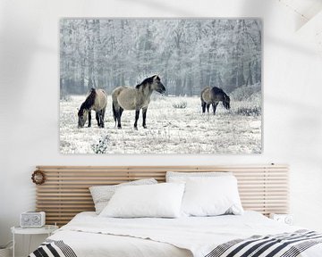 Wilde paarden in de winter van Elly Besselink