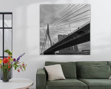 Erasmusbrug Rotterdam van Ellen van Schravendijk