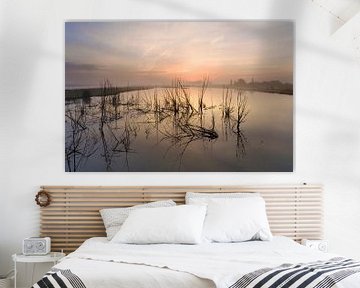 Dead Trees standing in the floodplain by Jonathan Vandevoorde