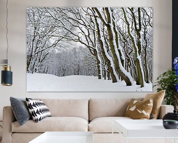 Arbres couverts de neige sur Richard Guijt Photography