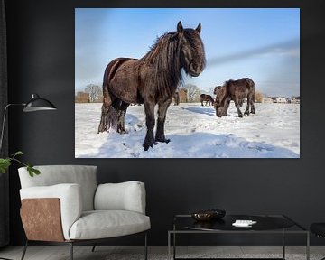 Groep zwarte friese paarden in winterse sneeuw van Ben Schonewille
