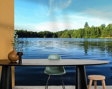 MAGICAL LAKE IN FOREST