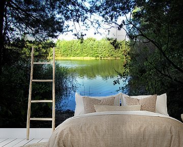 LAKE VIEW FROM FOREST