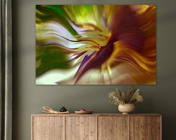 peacock colour