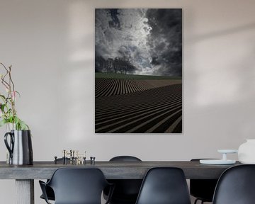 fake landscape von Henk Speksnijder