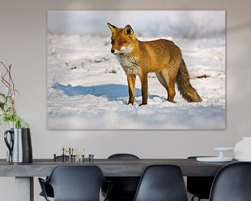 Fuchs im Schnee von Anton de Zeeuw
