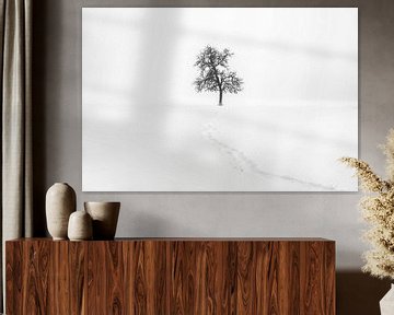 Minimalisme | Arbre solitaire dans la neige avec un crapaud