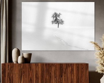 Minimalisme | Eenzame boom in sneeuw met pad van Steven Dijkshoorn