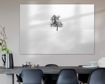 Minimalisme | Eenzame boom in sneeuw van Steven Dijkshoorn
