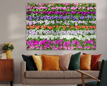 Horizontale rijen van bloemen in verschillende kleuren van Ben Schonewille
