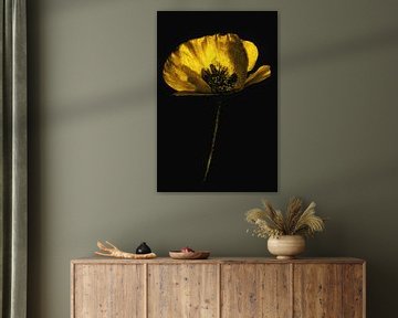 Mohn Gold von Peter Bartelings