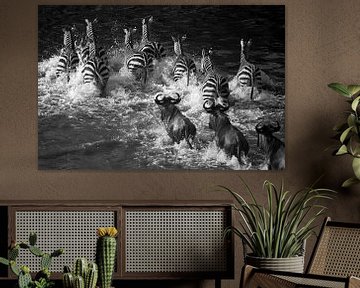 Zebra Crossing by Marijn Heuts