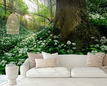 Savels forest in spring by Marijn Heuts