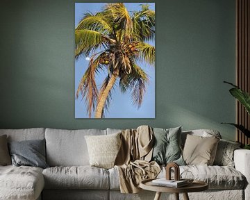 Palmtree by Marian Kramer