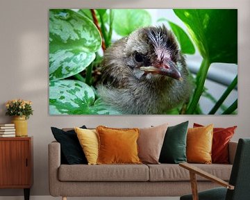 Hatched bird by Gem Huat Ang