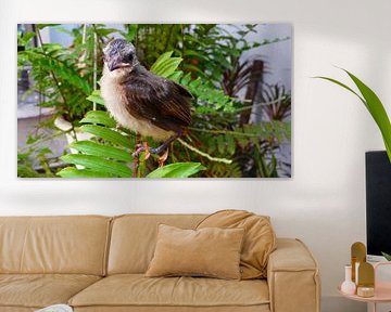 Hatched birds by Gem Huat Ang