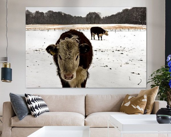 vache dans la neige