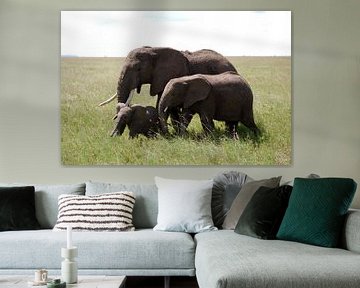 Familie olifant sur Paul Riedstra