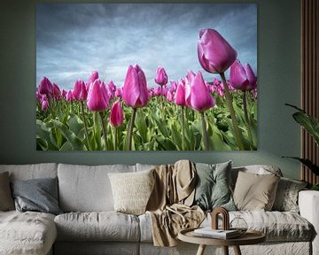 Tulips by Gonnie van de Schans