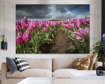 roze tulpenveld van Gonnie van de Schans