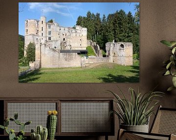 Een vervallen kasteel in Luxemburg. van Rijk van de Kaa