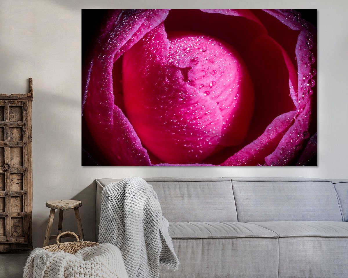 Raumvorschau