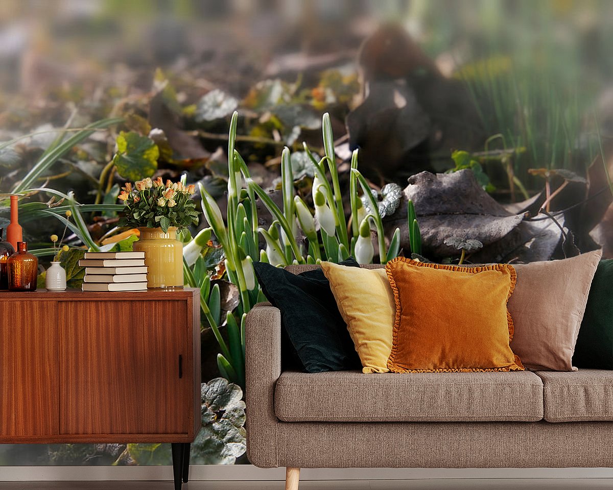 Raumvorschau